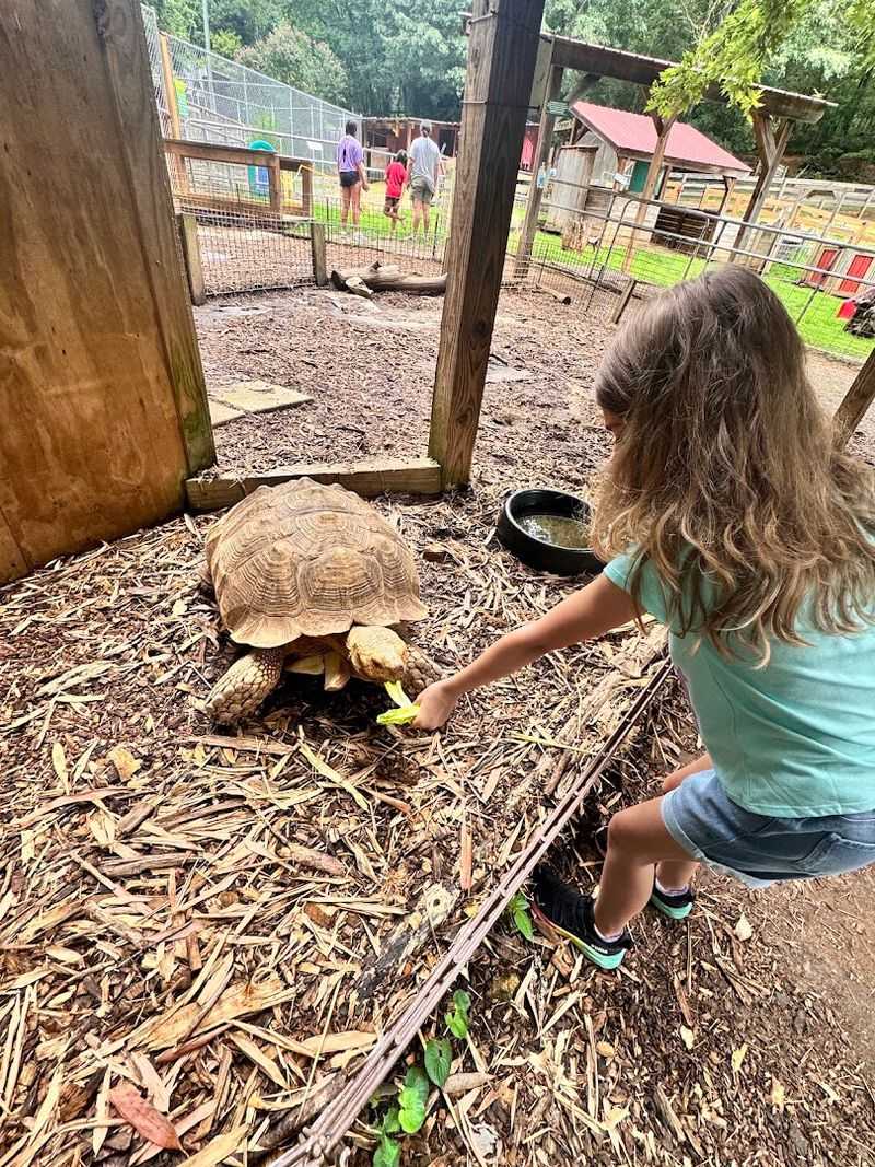 North Georgia Wildlife Park & Safari (Cleveland)