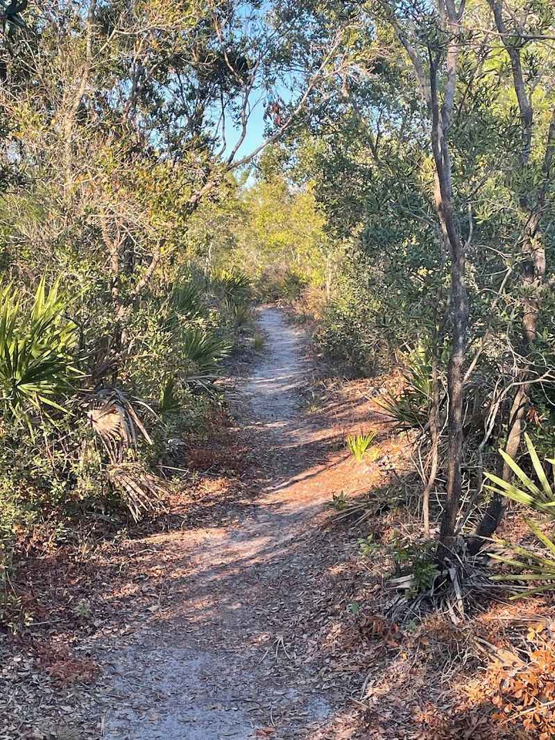 Juniper Springs Area Trails