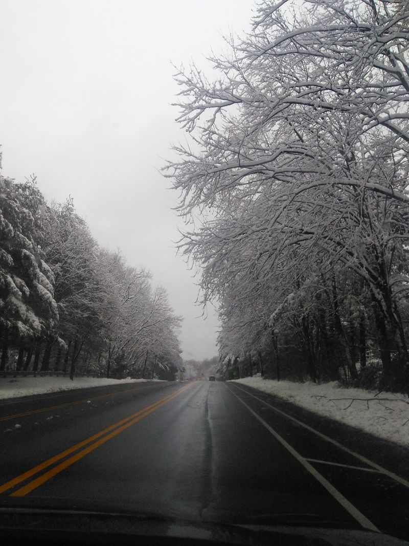 Highway 29 (Northwest Florida rural drive)