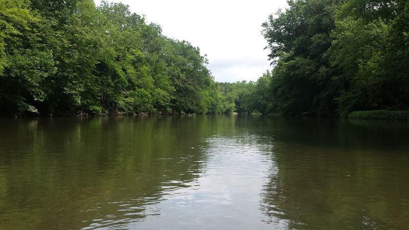Conodoguinet Creek (Carlisle Area &ndash; select access points)