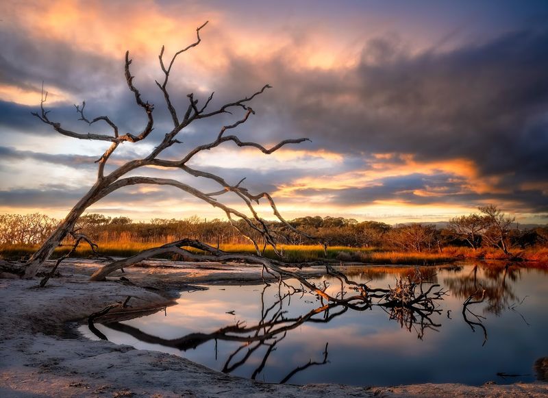 Jekyll Island