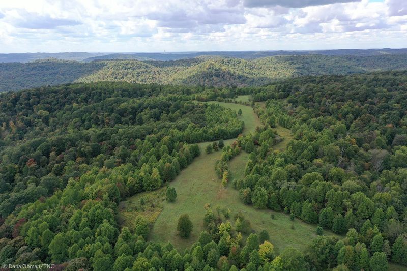 Edge of Appalachia Preserve &mdash; Best for Nature Lovers and Wildflowers