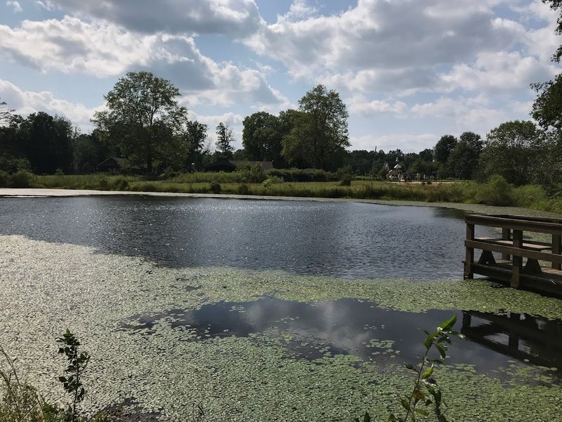 Morgan Swamp Preserve Trails