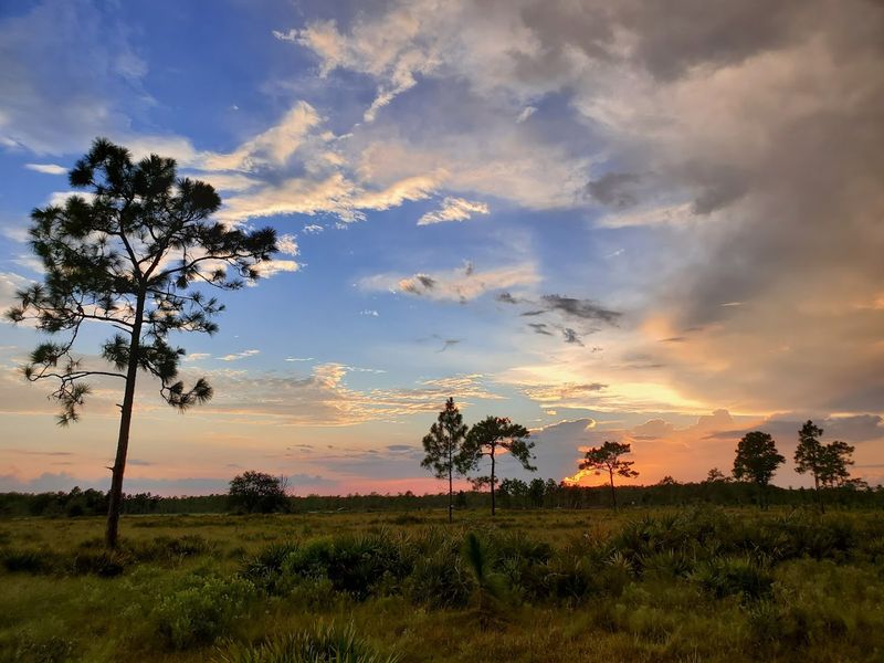 Three Lakes Wildlife Management Area