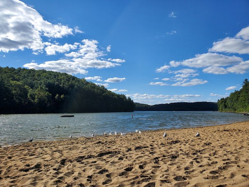 Tappan Lake Park (Deersville)