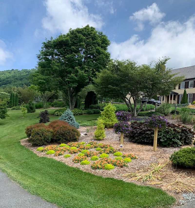 Boone &ndash; Cool Mountain Escape With Free Outdoor Access