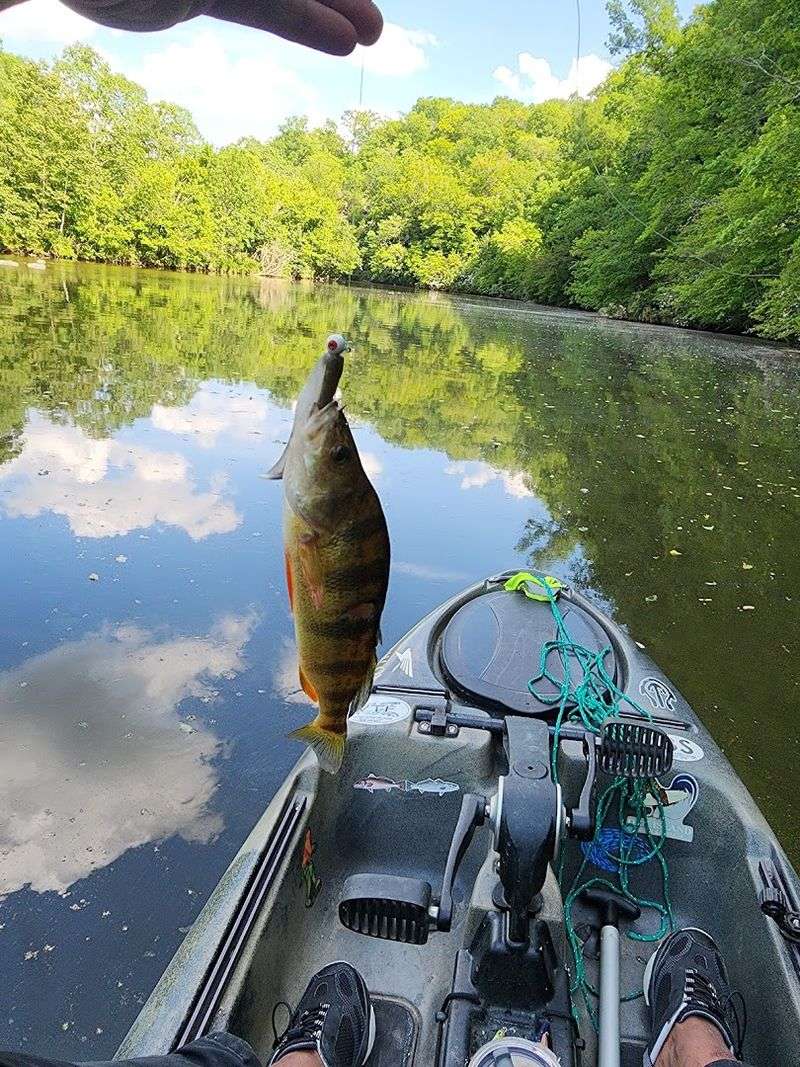Lake Michie Recreation Area (Durham County)
