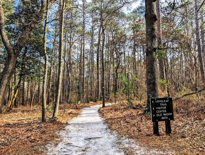Cliffs of the Neuse State Park