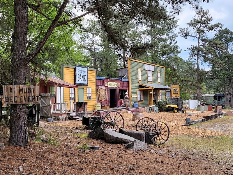 Stone Mountain Park (Stone Mountain)