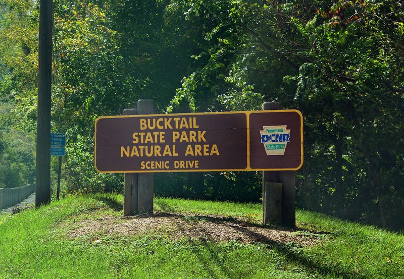Bucktail State Park Natural Area, Clinton County