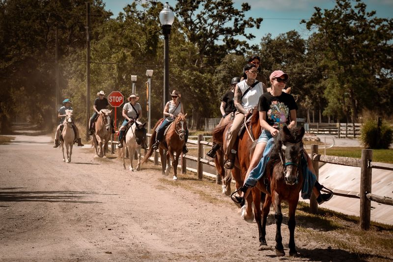 Ruxton's Ranch Rides (Pinellas Park)