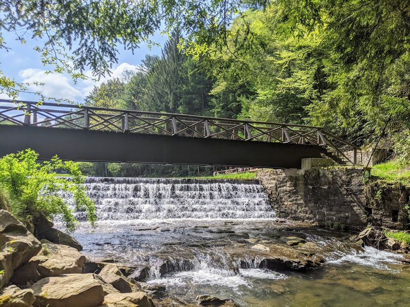 Clear Creek State Forest 
