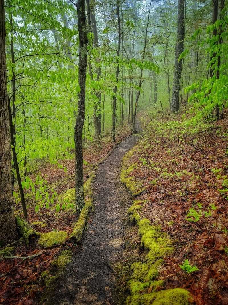 Oil Creek State Park