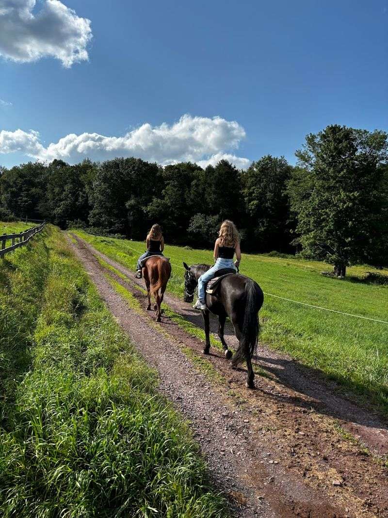 Daisy Field Farm (White Haven)