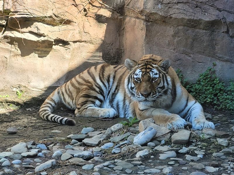Erie Zoo &ndash; Erie