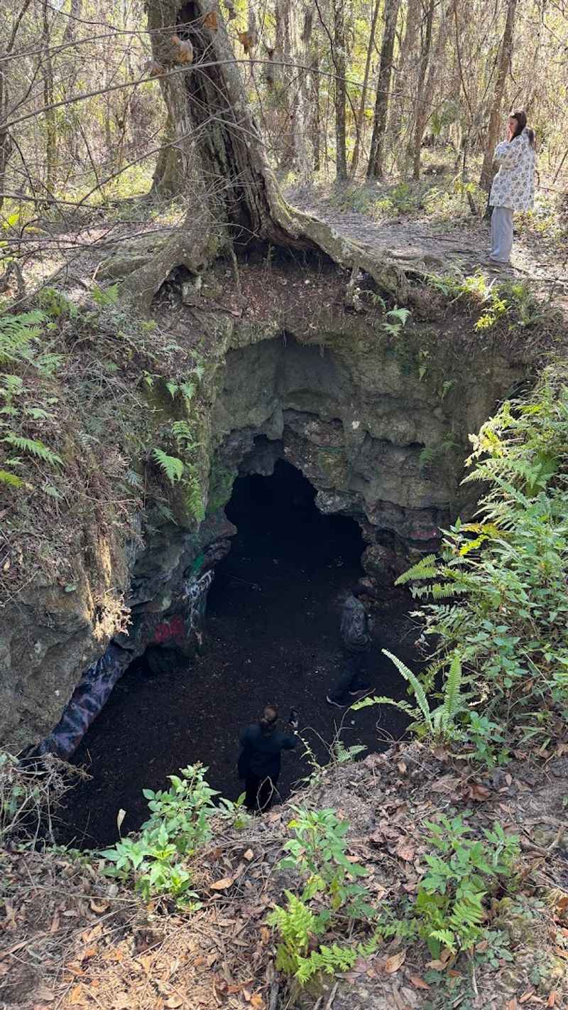Limestone, Sinkholes, and the Shape of the Ground