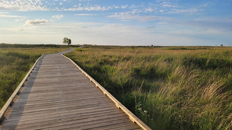 Dunes and Wildlife Watching