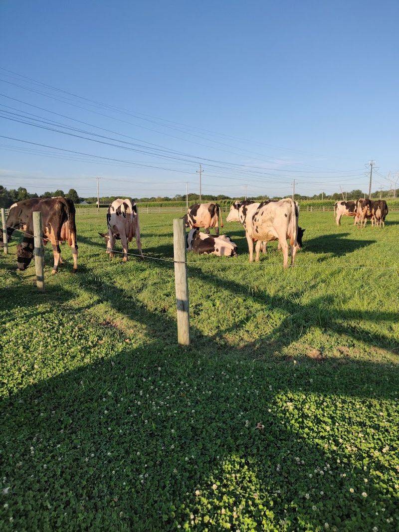 Merrymead Farm (Lansdale, PA)