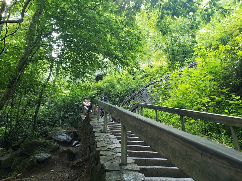 Looking Glass Falls Trail