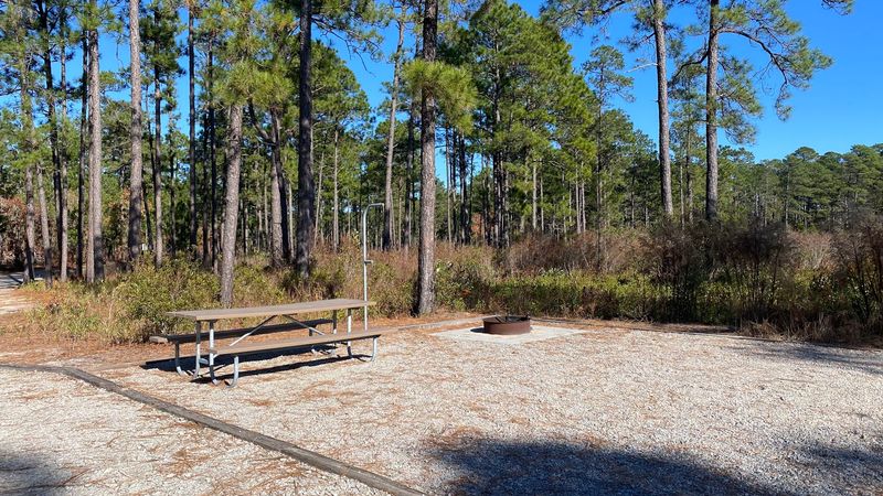 Jones Lake State Park – Coastal Plain