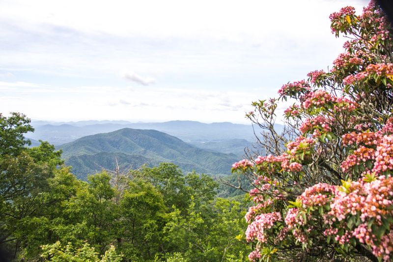 Craggy Gardens Pinnacle Trail — Blue Ridge Parkway