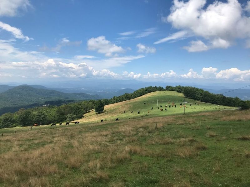 Bearwallow Mountain, Henderson County