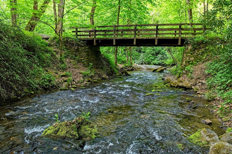 Great Smoky Mountains Deep Creek Loop - Bryson City, Swain County