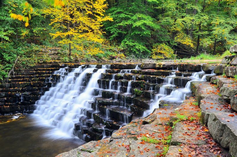 Laurel Hill State Park, Somerset County