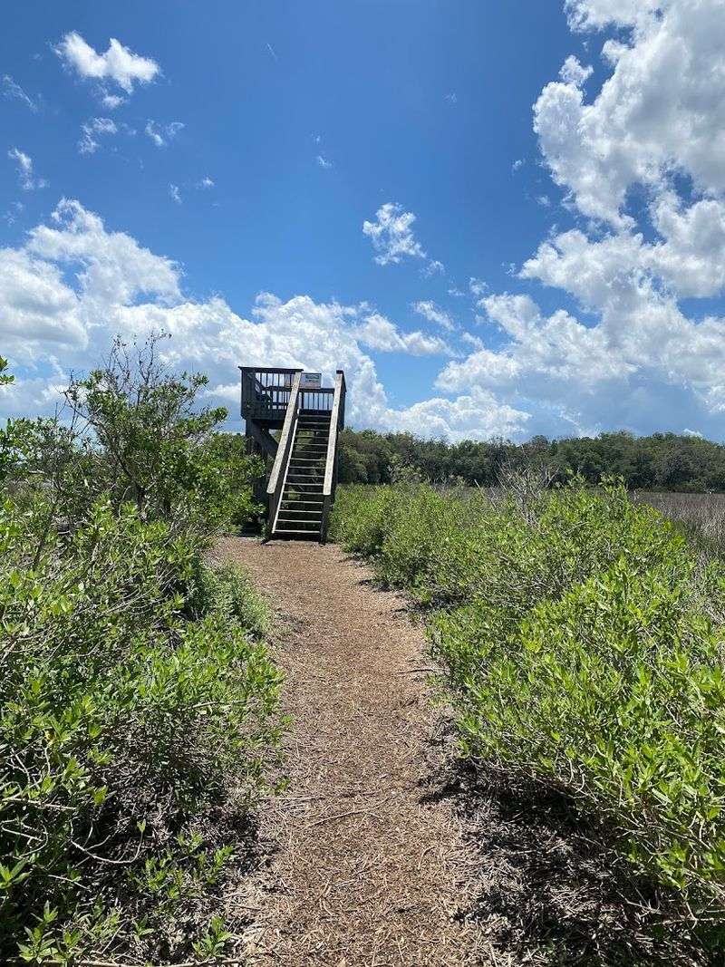 Timucuan Trail at Fort Caroline National Memorial (Jacksonville)
