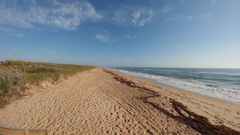 Canaveral National Seashore