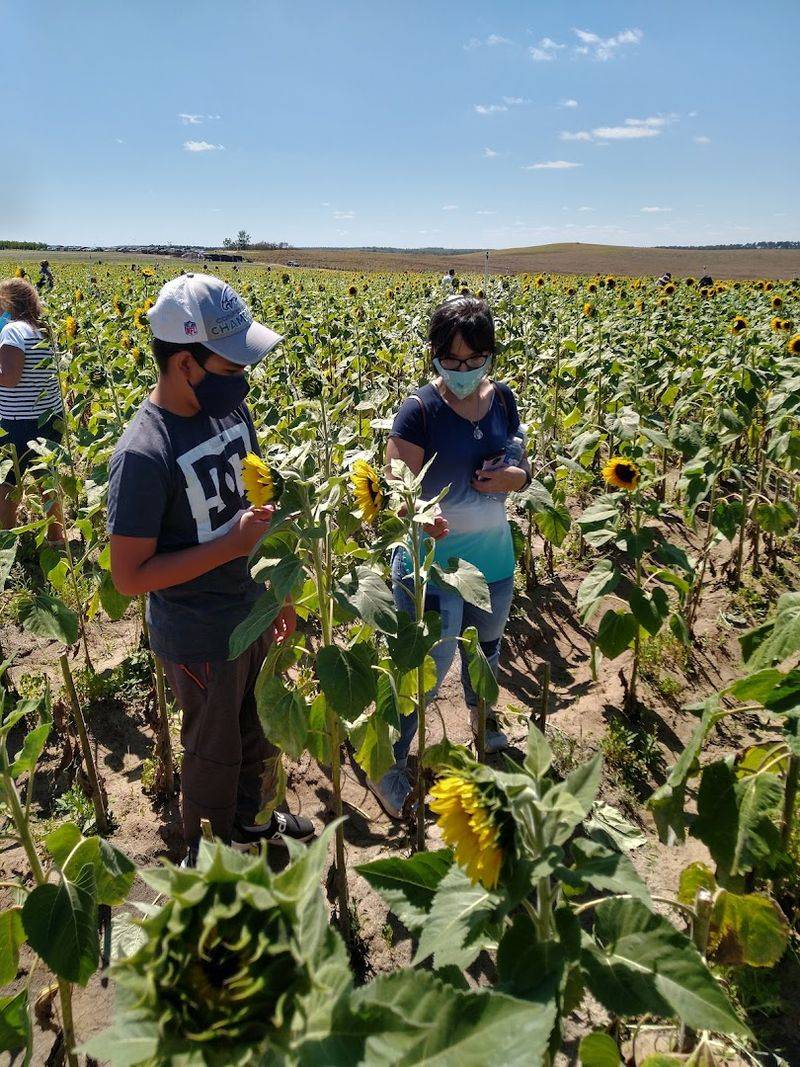 Why Locals Keep Recommending Southern Hill Farms For Dates