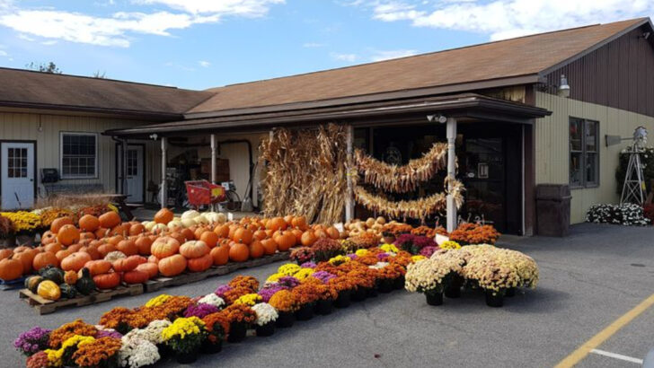 Locals Say This Pennsylvania General Store Still Feels Like Another Era