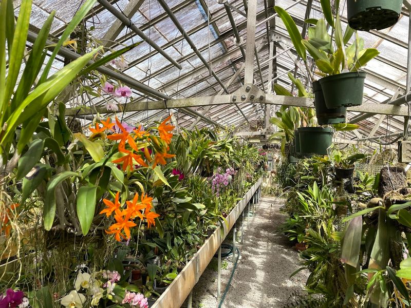 Coastal Georgia Botanical Gardens 