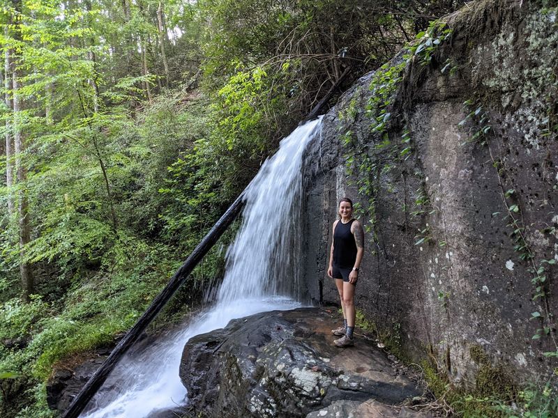 DeSoto Falls - Upper Falls