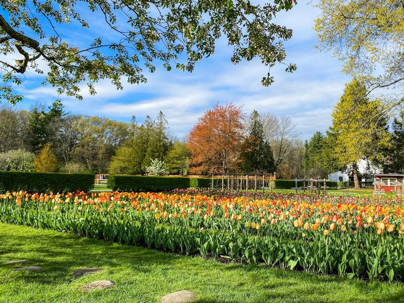 Stevens-Coolidge House & Gardens