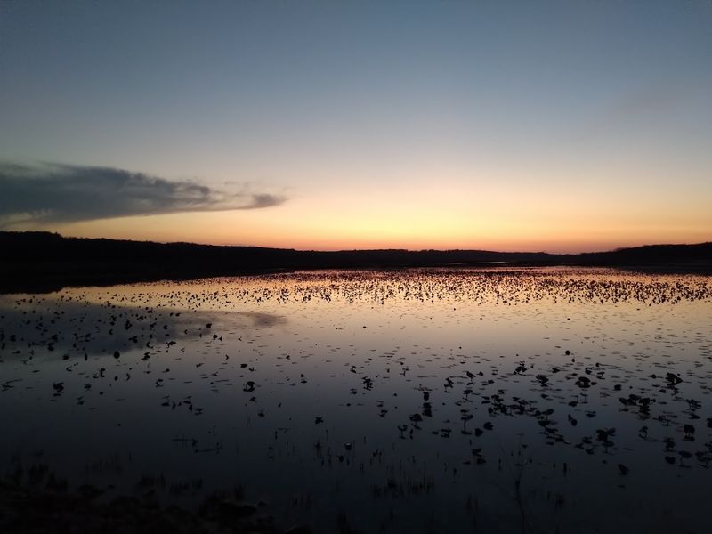 The Conneaut Marsh Drive, Geneva (State Route 285)