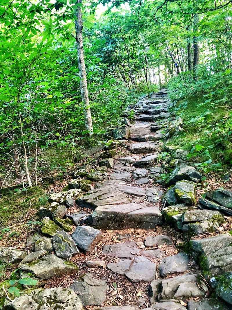Elk Knob State Park Trail