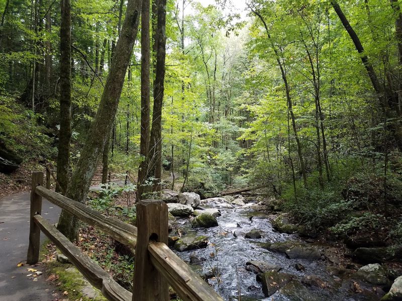 Anna Ruby Falls