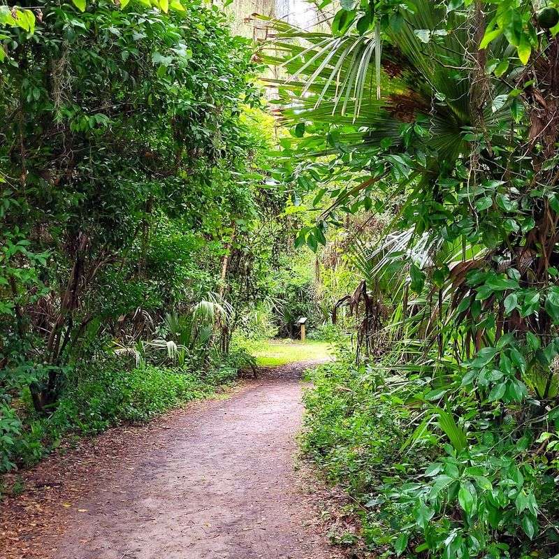Peaceful Walking Trails Through Cypress Hammocks