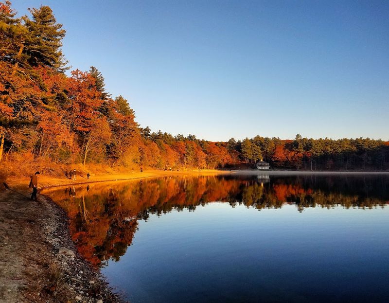 Walden Pond State Reservation