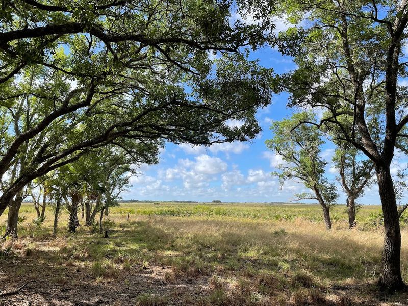 Kissimmee Prairie Preserve State Park