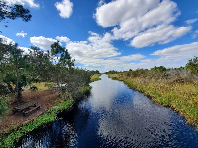 Lake Kissimmee State Park