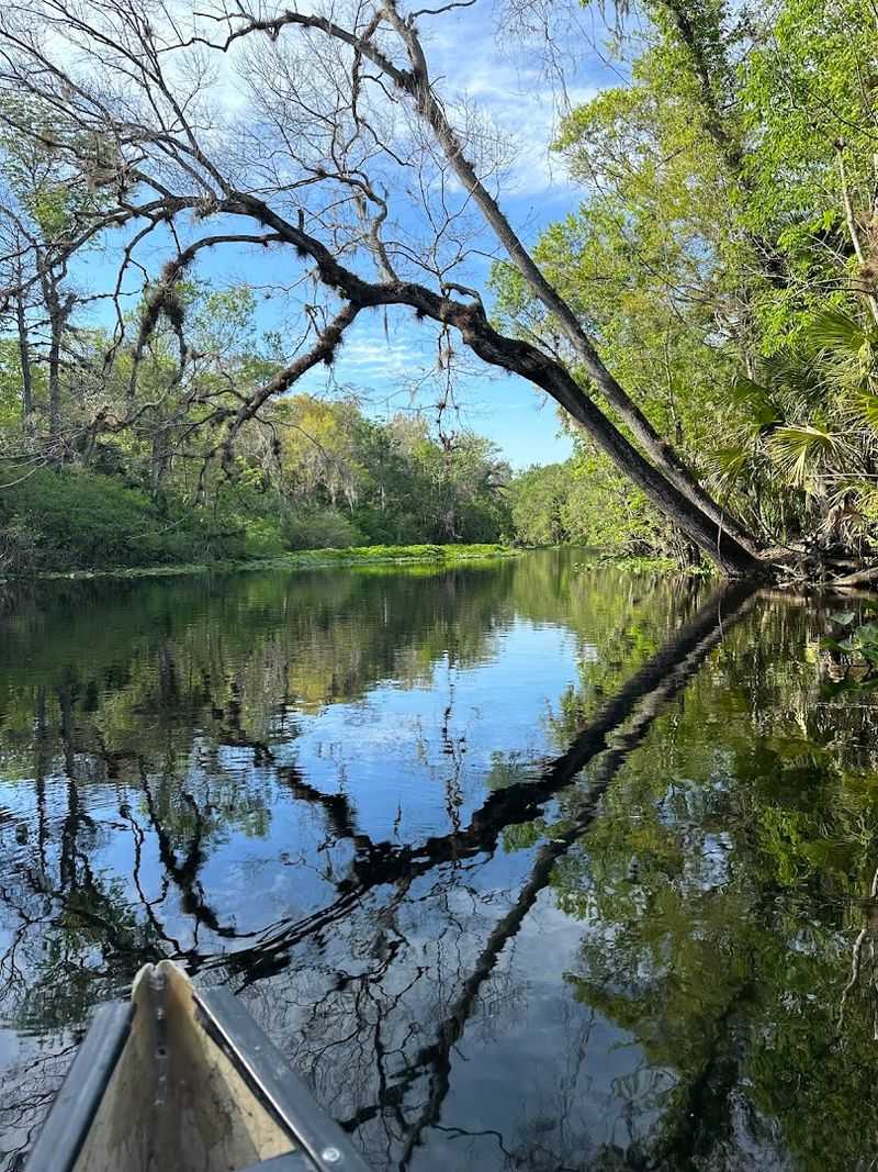 Rock Springs Run (Sorrento/Apopka)