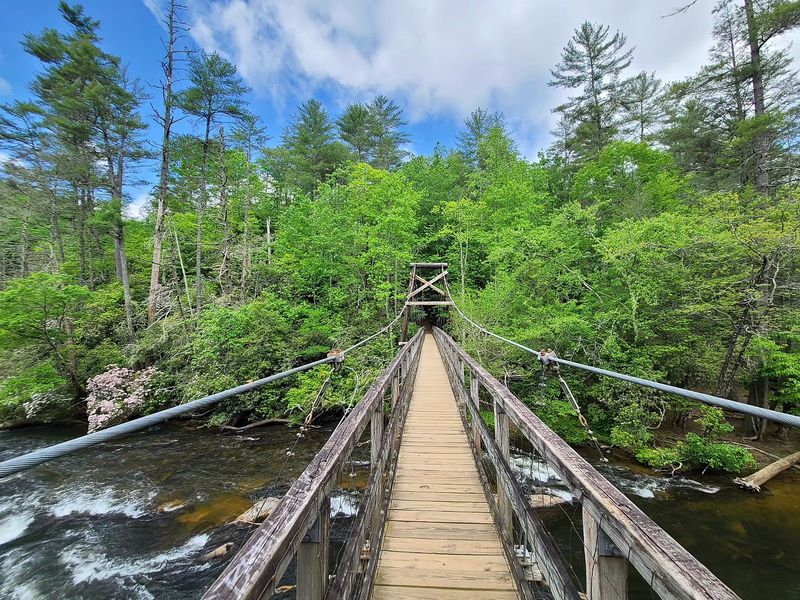 Toccoa River Swinging Bridge