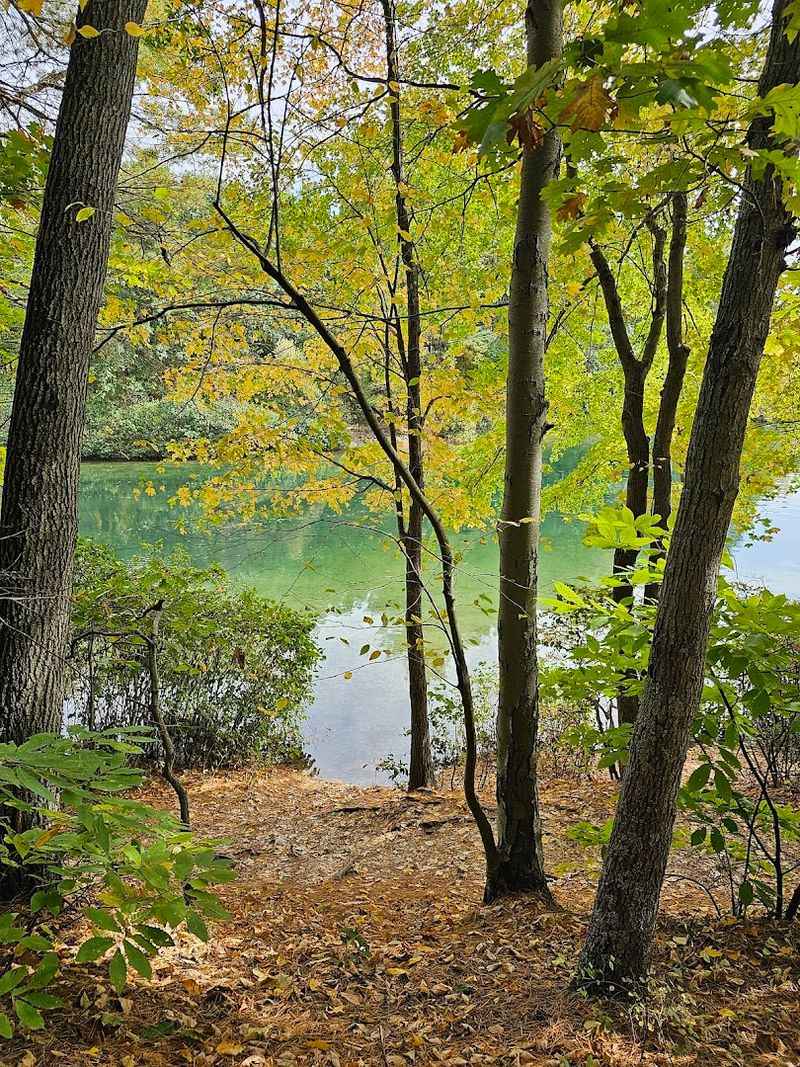 Walden Pond State Reservation