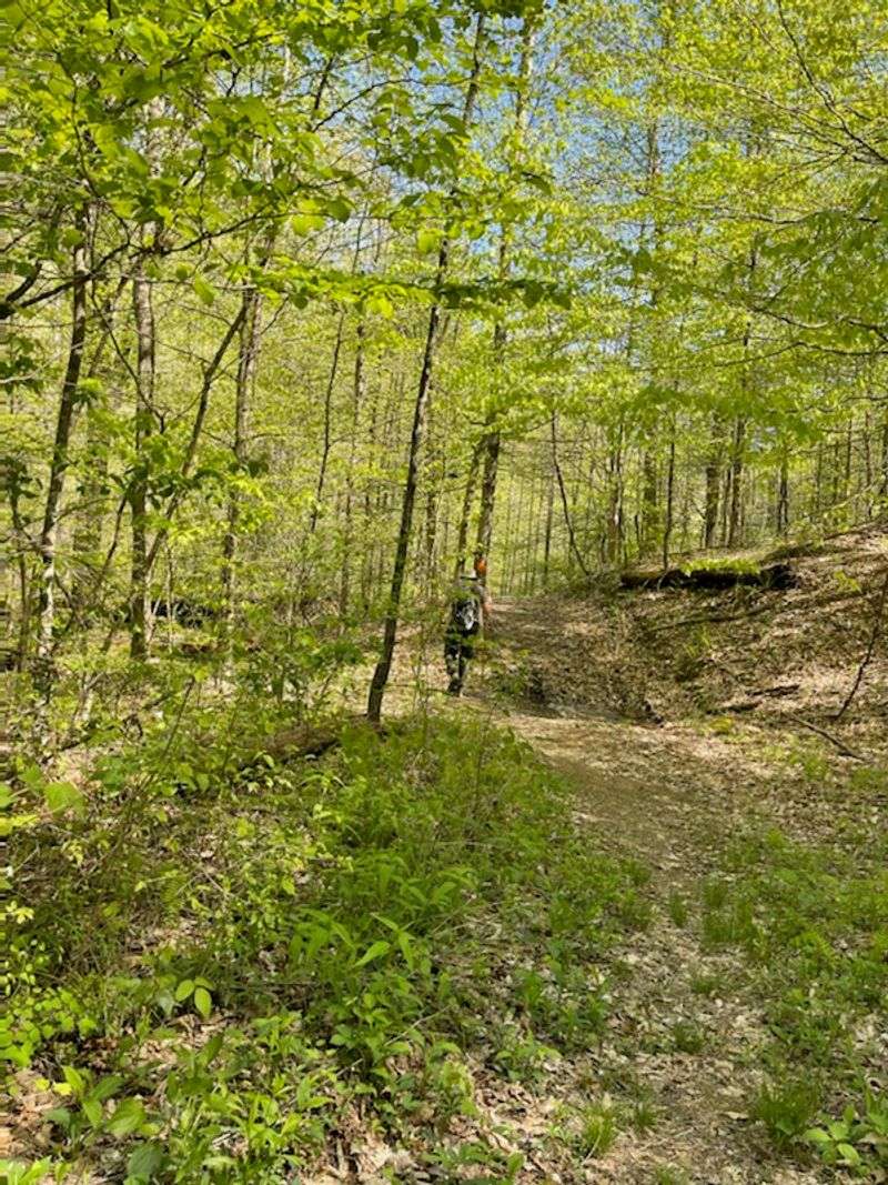 Shawnee Backpack Trail
