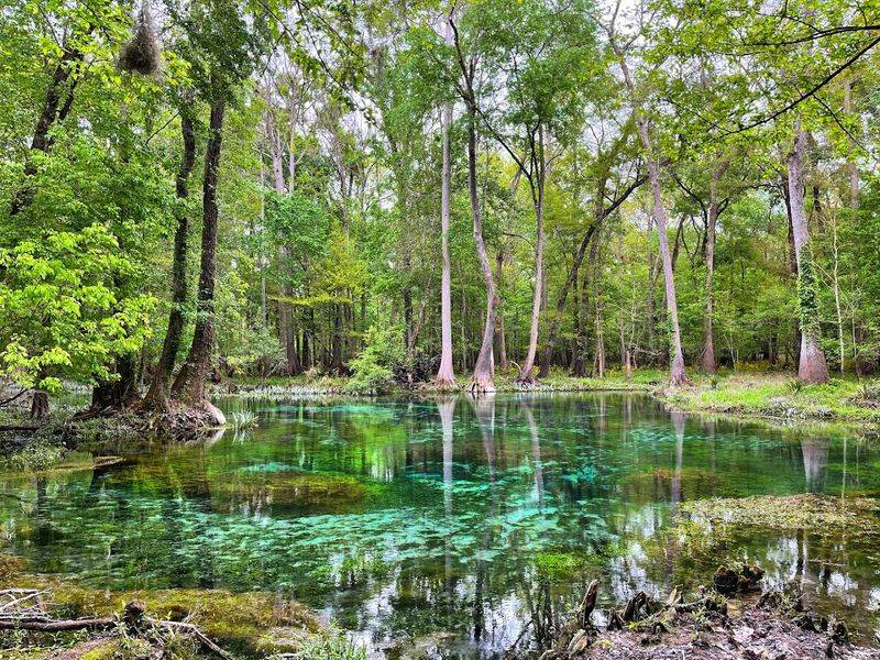 Gilchrist Blue Springs State Park, Gilchrist County