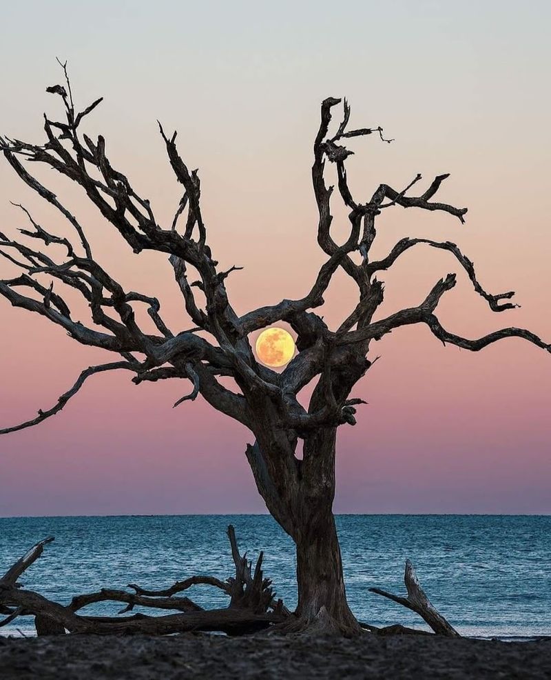 Jekyll Island, Jekyll Island, Glynn County