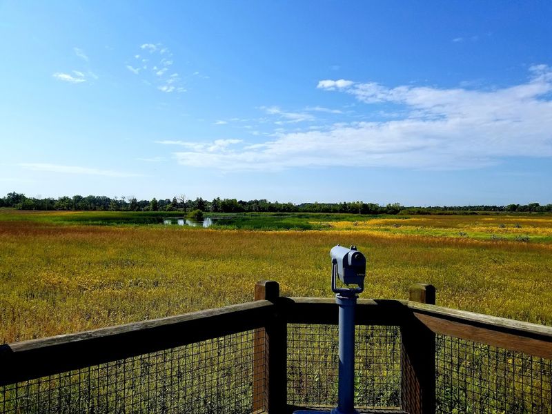 Pickerington Ponds Metro Park