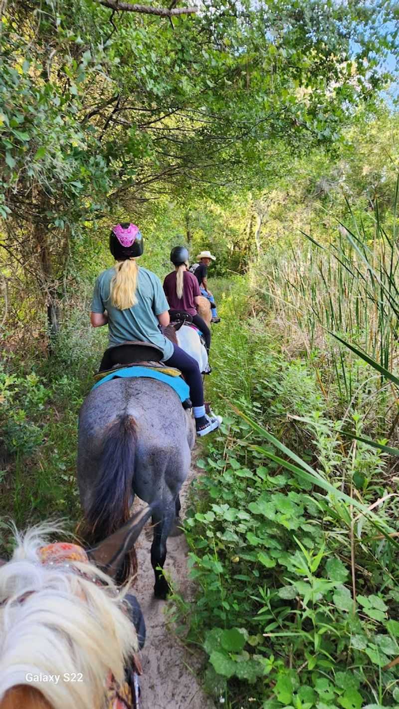 In the Breeze Ranch (Tampa)